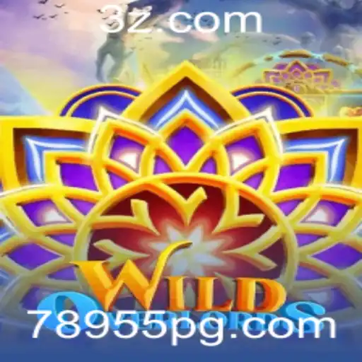 78955.com Casino App